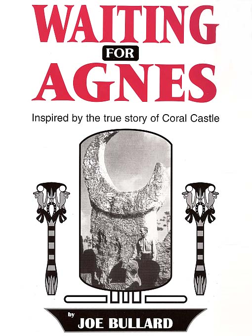 Title details for Waiting for Agnes by Joe Bullard - Available